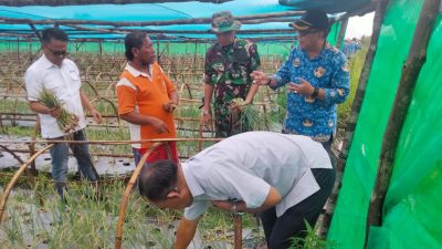 Danramil 03/Gantung Menghadiri Kegiatan Penyerahan Bantuan CSR dari PT Timah Untuk Petani Kecamatan Gantung