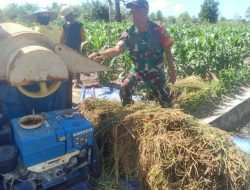 Babinsa Batu Itam Gelar Pendampingan Kepada Warga