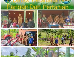 Danramil 01 Tanjungpandan Hadiri Sosialisasi Pertanian