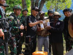 Pangkogabwilhan III Tinjau Langsung Homeyo Papua