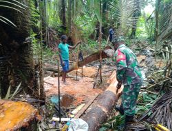 Babinsa Kuala Kencana Bantu Warganya Mengolah Sagu