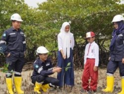 Dukung Ekosistem, PT Timah Tanam Ribuan Pohon di Lahan Bekas Tambang