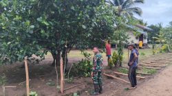 Perbatasan Papua Semakin Indah, TNI dan Warga Gotong Royong Jaga Kebersihan