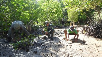 Penanaman Mangrove Kodim 1510/Sula: Langkah Konkret Menjaga Ekosistem Pantai dalam rangkaian Program TMMD Ke-123 di Desa Mangega