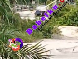Tambang Ilegal di Hutan Lindung Perlang Kian Marak, Aparat Diduga Tutup Mata