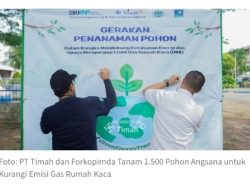 Dukung Energi Hijau, PT Timah Tanam Pohon