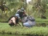 Lestarikan Lingkungan, Satgas TMMD Ke-124 Kodim 1501/Ternate Laksanakan Penghijauan