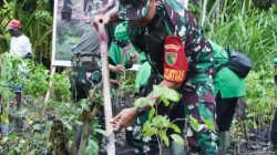 TMMD Hijaukan Kampung Pigapu Mimika